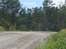 n701895367_3829618_7620.jpg
