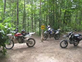 Barrie_06_800