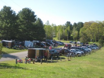 04_mini_pine_2010_800