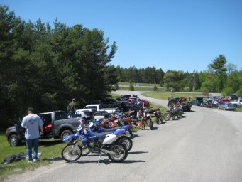 06_mini_pine_2010_800