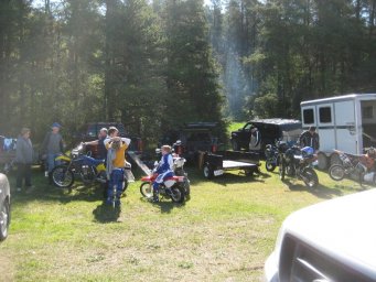 07_mini_pine_2010_800