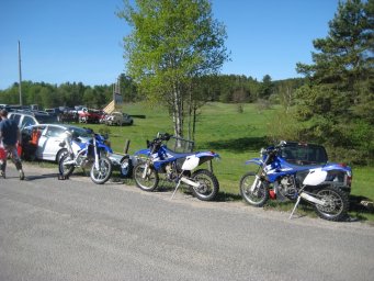 08_mini_pine_2010_800
