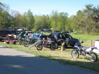 10_mini_pine_2010_800