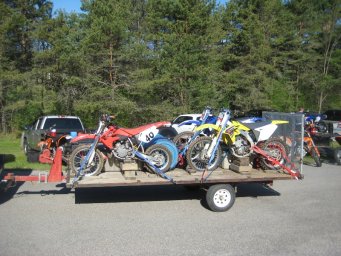 11_mini_pine_2010_800