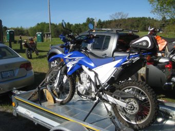 12_mini_pine_2010_800