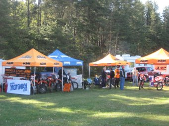 13_mini_pine_2010_800