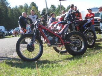 14_mini_pine_2010_800