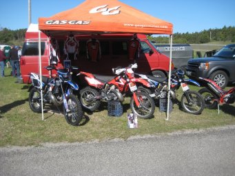 15_mini_pine_2010_800