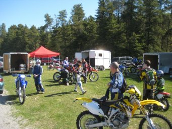 20_mini_pine_2010_800