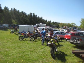 21_mini_pine_2010_800