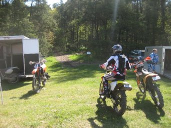22_mini_pine_2010_800