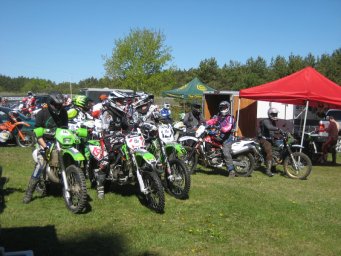 23_mini_pine_2010_800