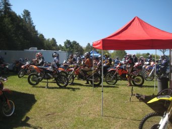 24_mini_pine_2010_800