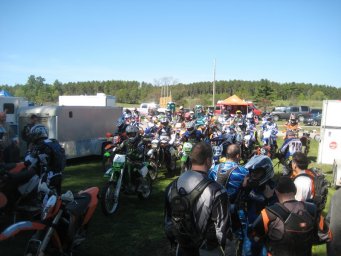 25_mini_pine_2010_800
