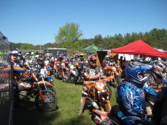 26_mini_pine_2010_800