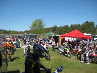 29_mini_pine_2010_800