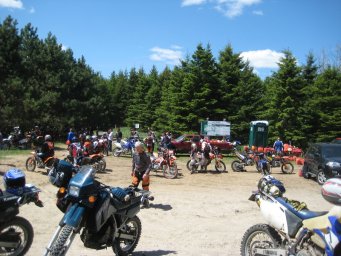 30_mini_pine_2010_800