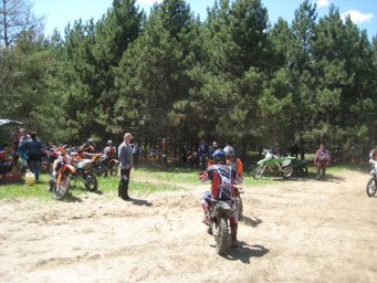 32_mini_pine_2010_800