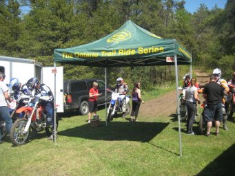 33_mini_pine_2010_800