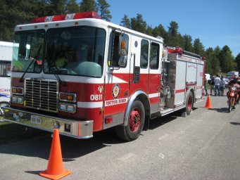34_mini_pine_2010_800