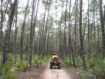florida_quad_04_800