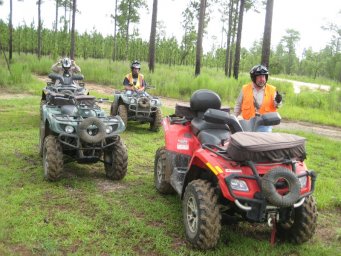 florida_quad_05_800