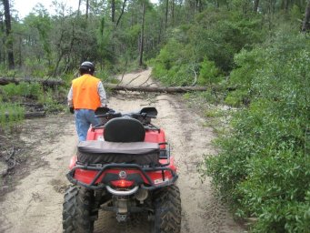 florida_quad_06_800