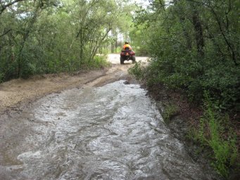 florida_quad_07_800