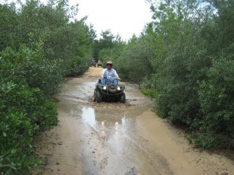 florida_quad_12_800