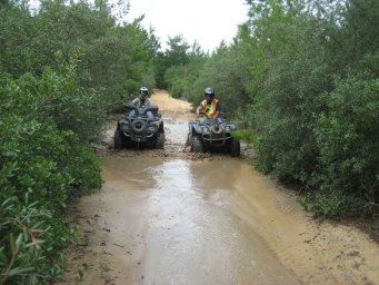 florida_quad_13_800