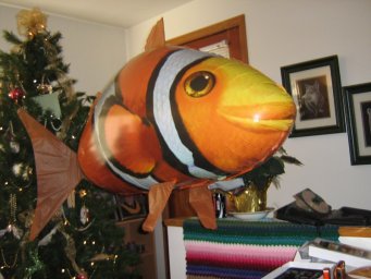 fish_800