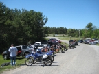 06_mini_pine_2010_800