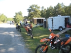 09_mini_pine_2010_800