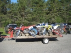 11_mini_pine_2010_800