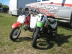 16_mini_pine_2010_800