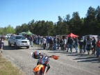 18_mini_pine_2010_800