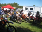 27_mini_pine_2010_800