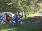 28_mini_pine_2010_800