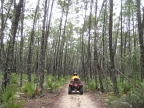 florida_quad_04_800