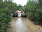 florida_quad_13_800